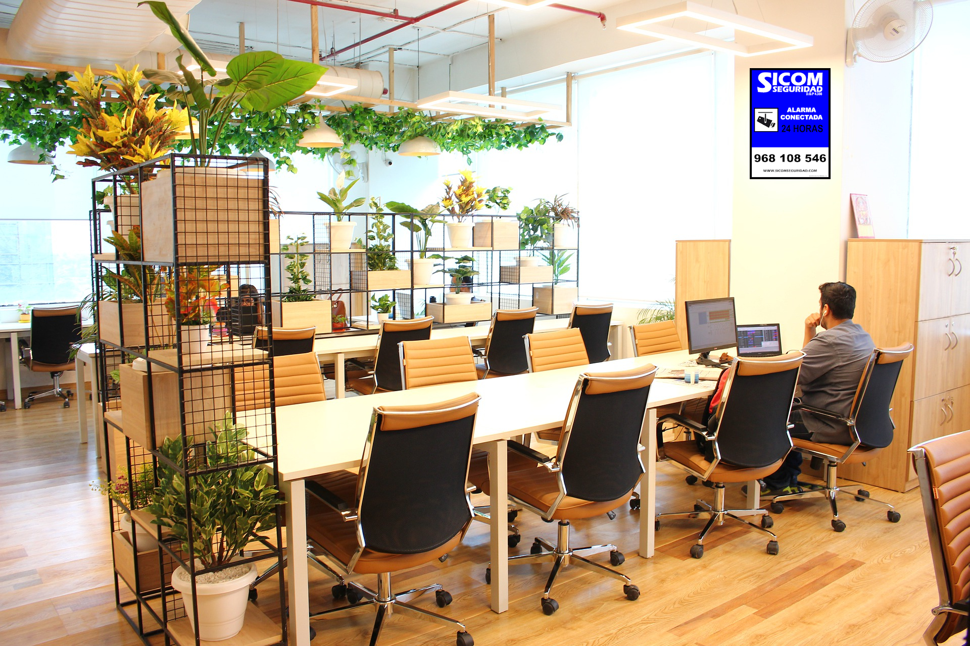 alarmas para negocio murcia